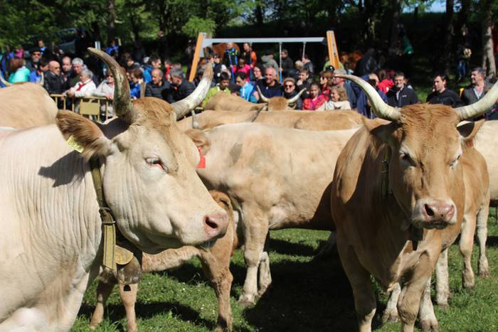 Larre irekiera Larraitzen 20 29 1493639836606