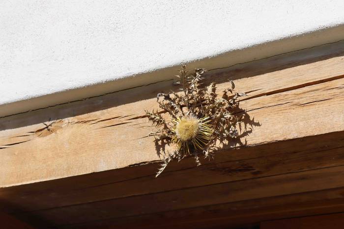 Pello Zabala gunearen ateak  15 1649589522801