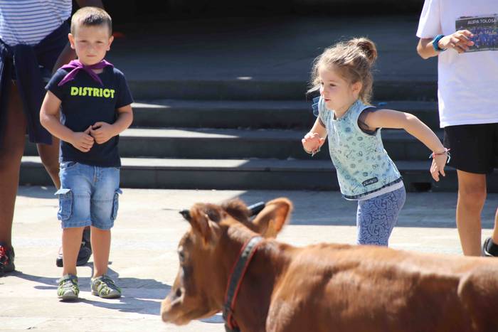 Festak hasteko, poniak eta z 53 1566994016067