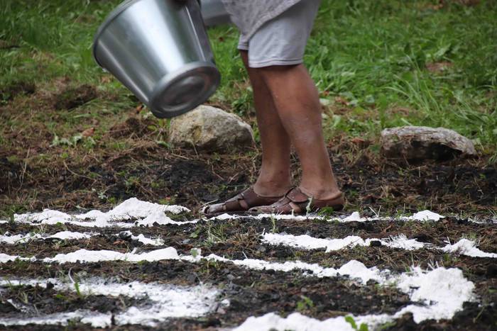 Zumetari omenaldi "intimoa"  29 1599334876102