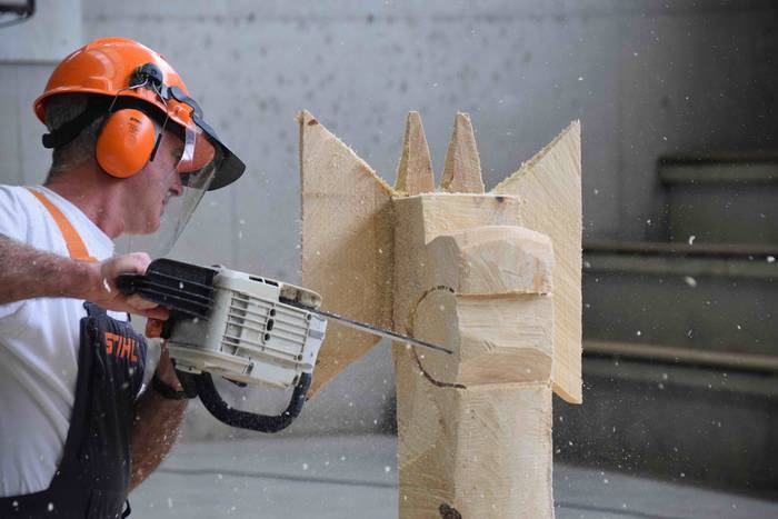 Larraul san bartolome eguna  1 1535187355745