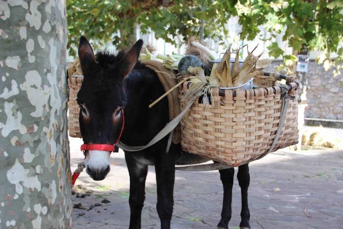 Goizez lan, arratsaldez fest 8 1572186201344