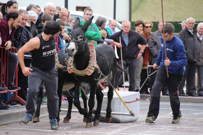 Idiek irabazi diete astoei A 27 1541962310013