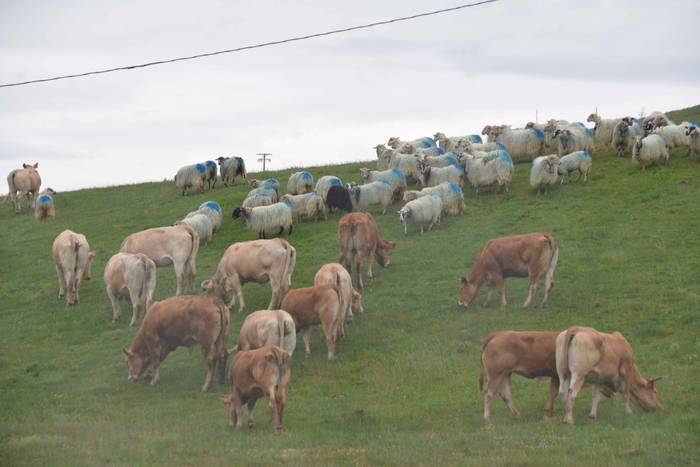 Larre irekiera Berastegi 202 21 1621072180353