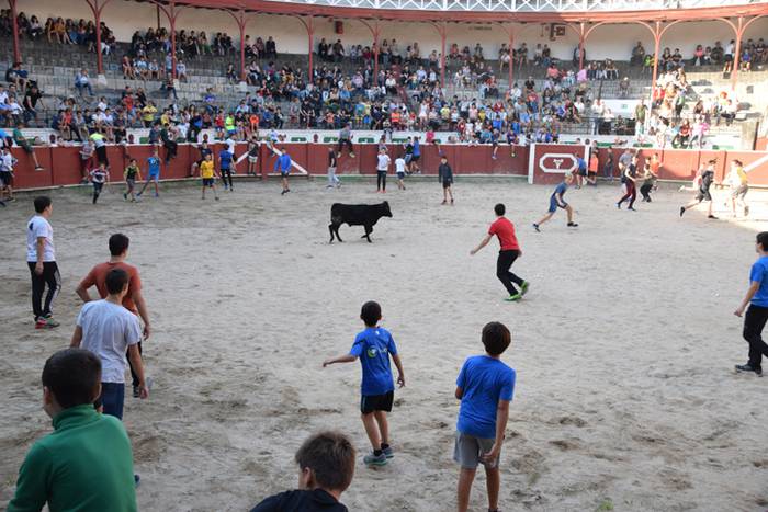 Berazubiko festak 2017, zeze 50 1507823034399