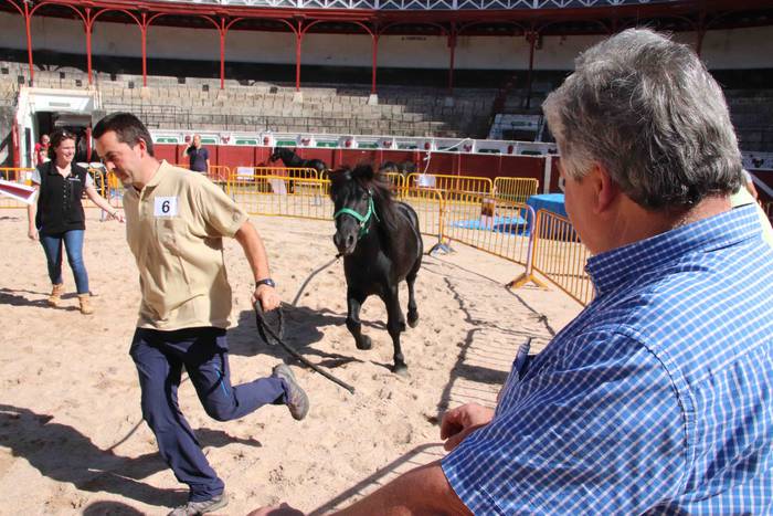 pottoka topaketa tolosa 8 1537627095273