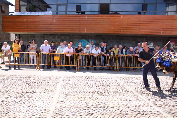 Idi erakustaldia Asteasuko p 21 1494859913477