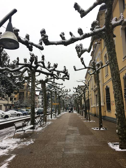 Argazki galeria: Tolosaldea, 52 1519809982846