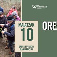 Biodibertsitate Gunea