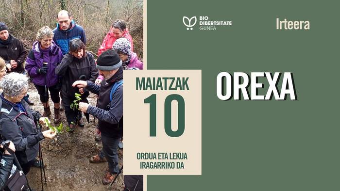 Biodibertsitate Gunea