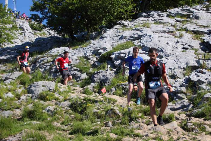 T3T, Hernio 2019 53 1560688429386