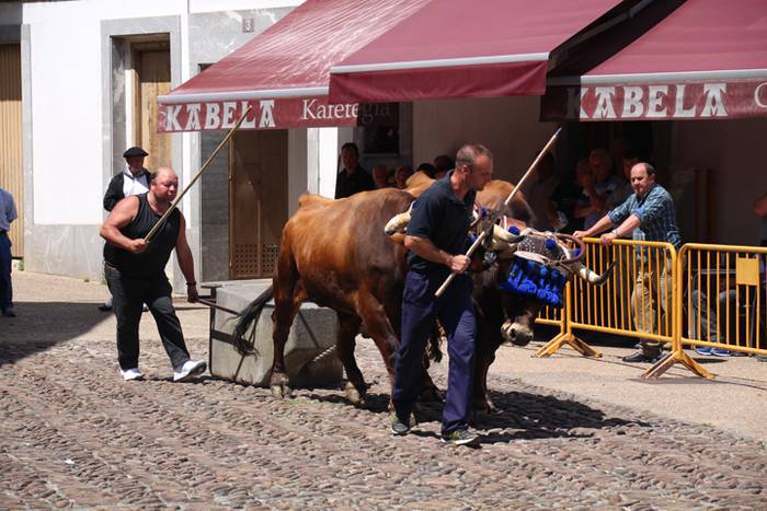 Idi erakustaldia Asteasuko p 10 1494859845535