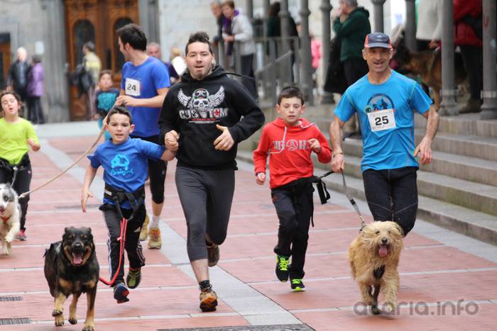 txakur krosa tolosa 2016 12 1458498834439