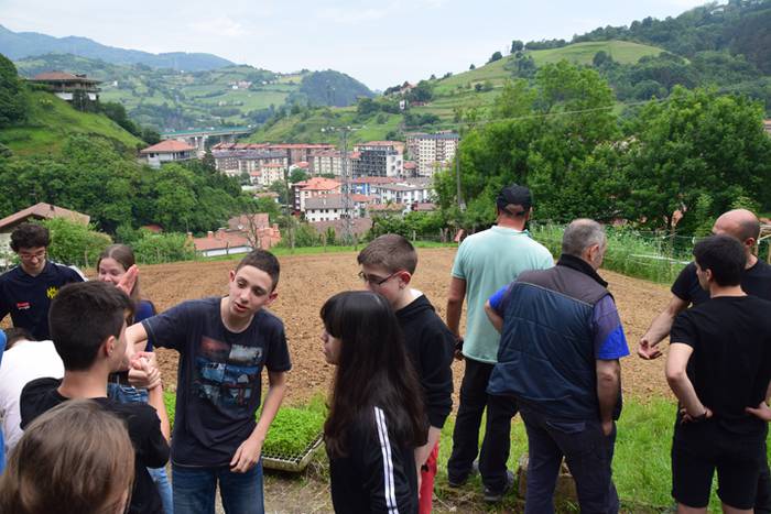 Ibarrako piperrak landatzen, 7 1527075646115