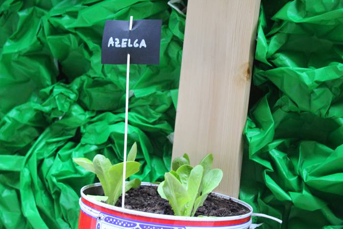 artekalea tolosa baratzeak 2016 8 1462968045132