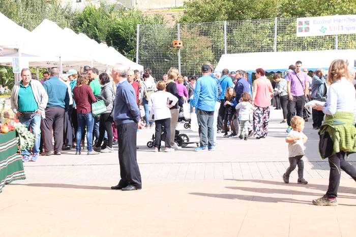 Piperra baino askoz gehiago 26 1505654736475