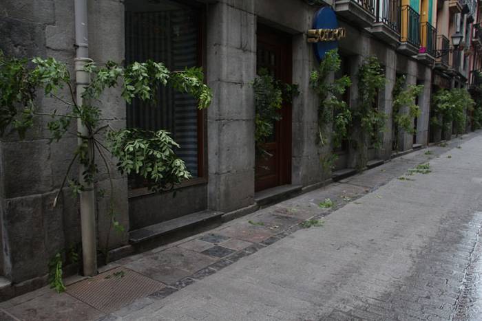 Lizarrez apaindutako kaleeta 1 1498311166678