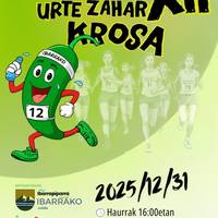 Ibarrako XII. Urte Zahar krosa