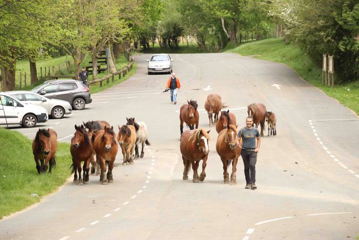 Larre irekiera ekitaldi bere 17 1588336782589