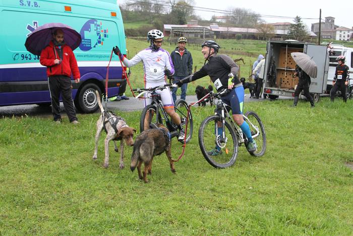 Zizurkil, txakur krosa 4 1490473827559