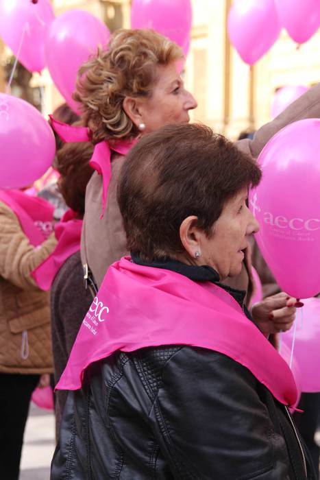 Bularreko Minbiziaren Aurkako eguna 2015 4 1445080906162