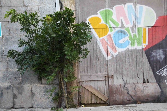 Berdez esnatzen da ekainaren 24a - 23