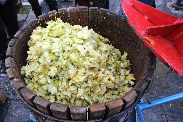 Zuhaitz Azoka Tolosan 2016 15 1456601470858