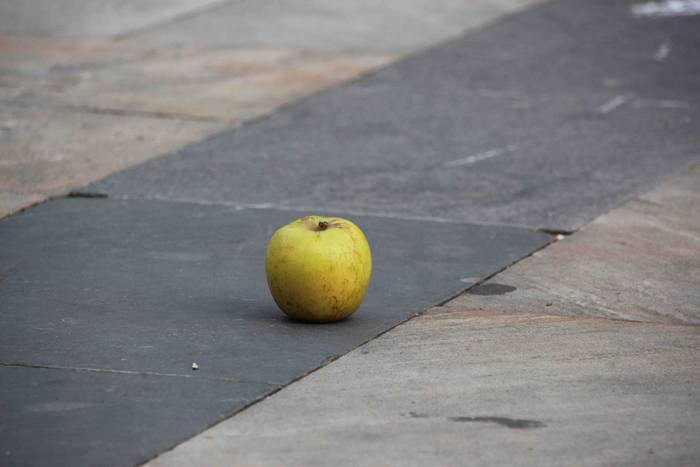 Sagardoaren indarra 33 1580579248673