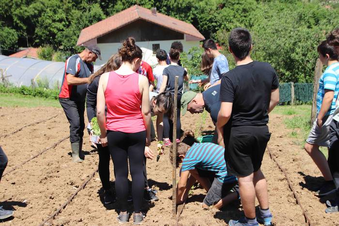 Erein dituzte lehen piperrak 8 1559303461009