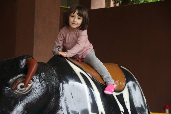 Euri langarrari, ajoarrieroa 15 1498914570160