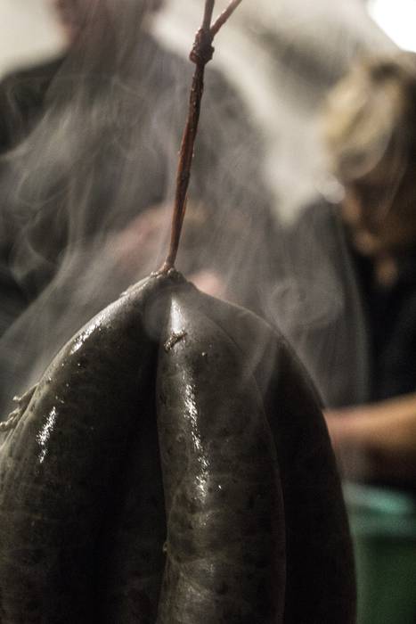 Elikaduratik, kulturatik hai 23 1510577161897