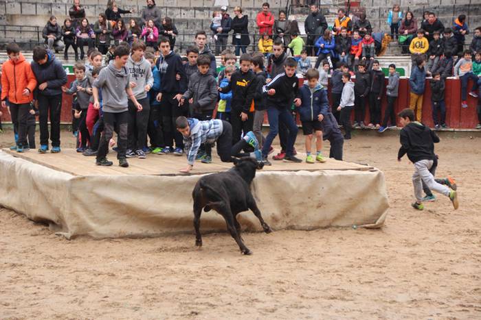 Txaranga eta zezenak piñata  9 1488738772310