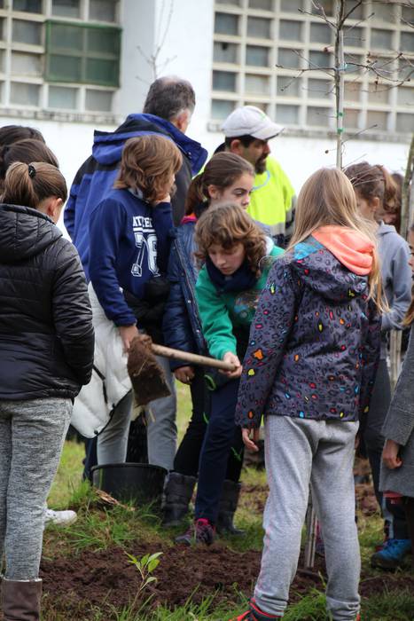 zuhaitz landatzea 2016 tolosa 2 1456503821857