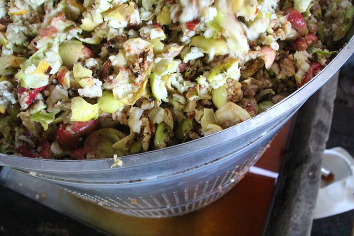 Sagarraren zukua, upelera 10 1477475739832