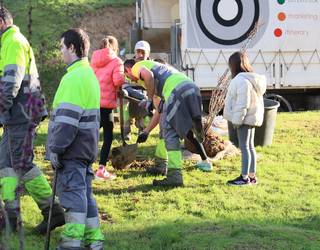 Gaixo zeuden 25 zuhaitz ordezkatu dituzte Amarotz auzoan