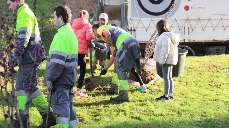 Gaixo zeuden 25 zuhaitz ordezkatu dituzte Amarotz auzoan