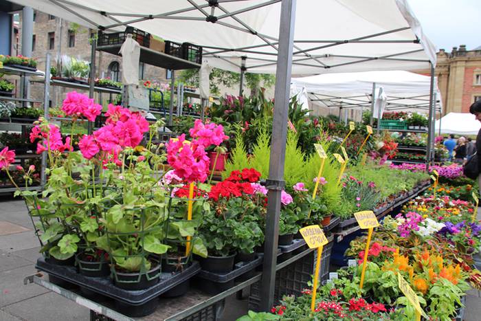 Lore eta Landare Azoka Tolosan 2016 27 1465051792034