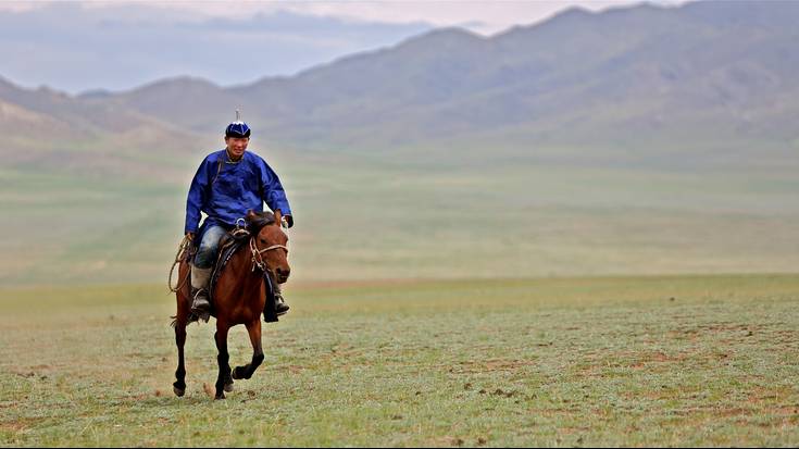 Mongolian barrena zaldiz