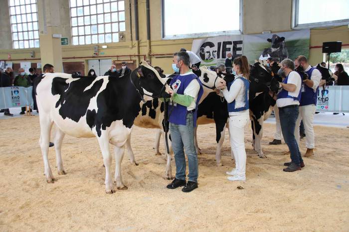 XII. Euskal Herriko Frisoi T 9 1637418666166