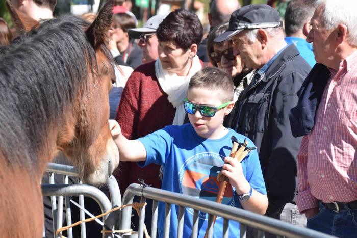 Larrerati dituzte abereak Ar 6 1556716241174