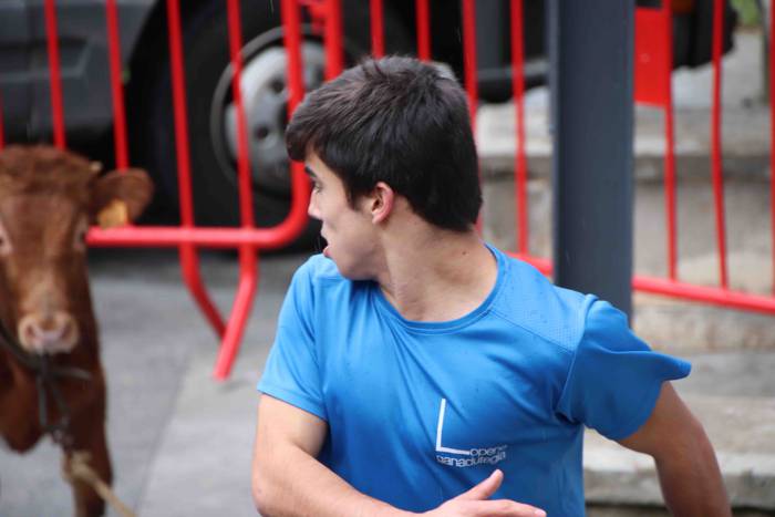 Amasako San Martinak 2019 30 1573305146819