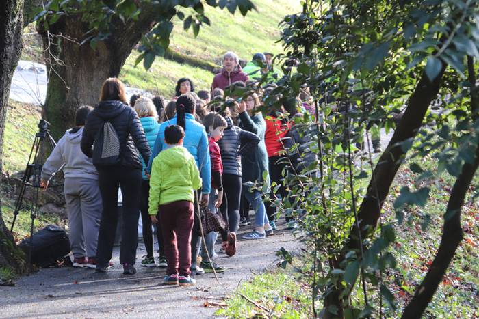 Tolosako ikasleek zuhaitzak  4 1520435434590