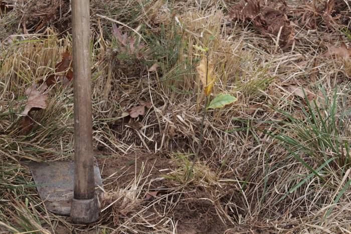 Eskola txikiak eta ner group 62 1447508285102