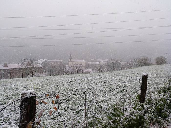 ELURRA 2017 AZAROA 10 1512123678517