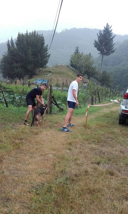 Segalariak, euria eta txakurraren aurka korrika 1 1474130700355