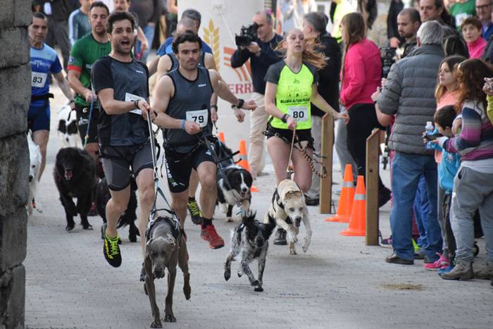 III. Txakur Krosa, Zizurkil 4 1523728612994