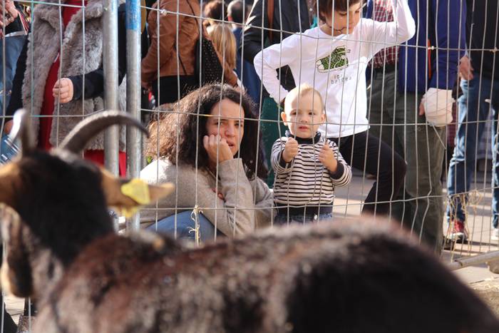 Tolosa Gabonetako Azoka berezia 2015 14 1450532617750