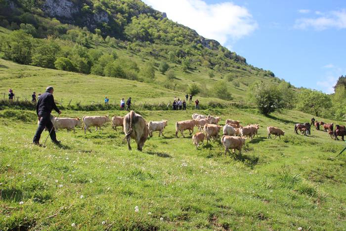 Larre irekiera Larraitzen 20 87 1493640192700