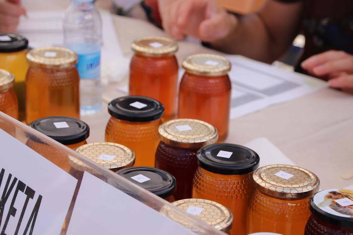 "Ibarra, Azoka eta Piparra" 49 1537103162317