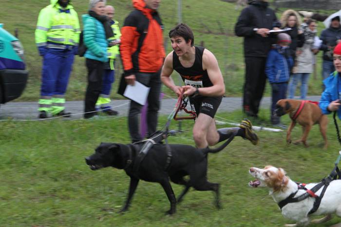 Zizurkil, txakur krosa 31 1490473982331